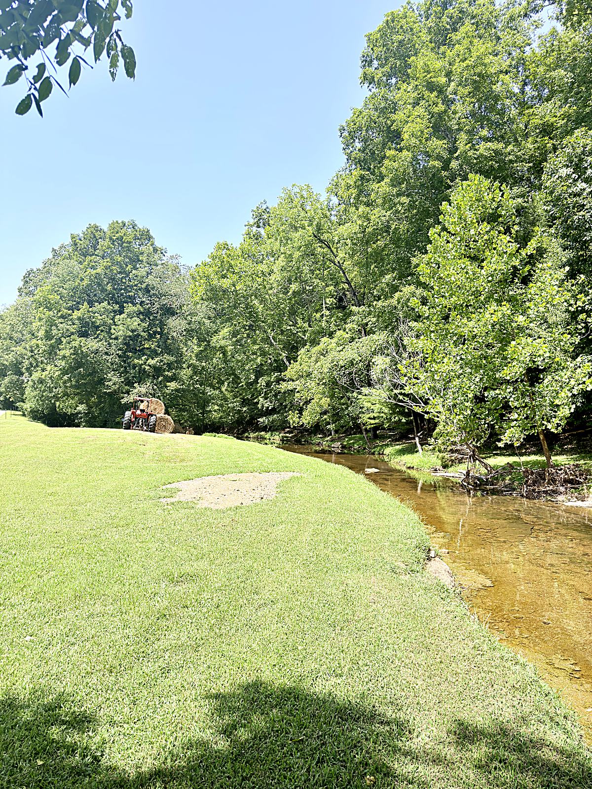 Creek and pasture at Natchez Trace Stables, Primm Springs TN — My Nashville Driver