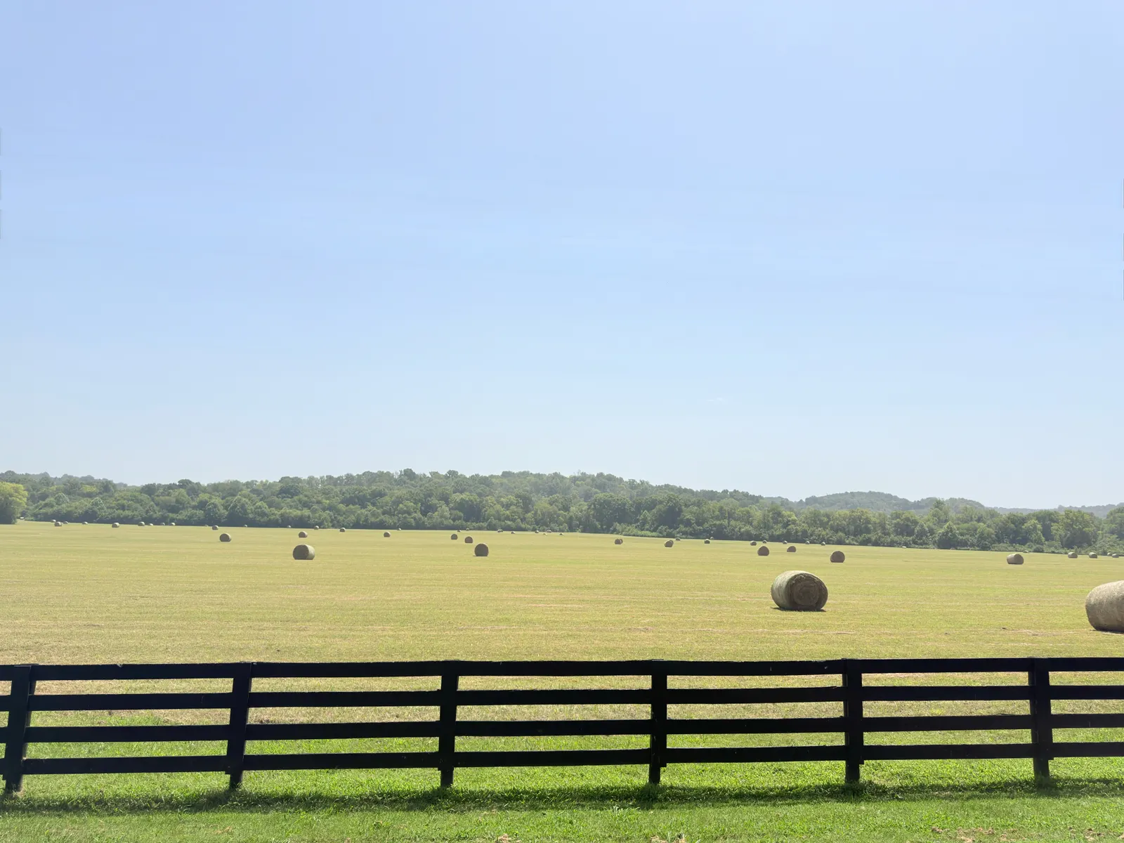 Hay bales in a green field behind a black fence in Franklin