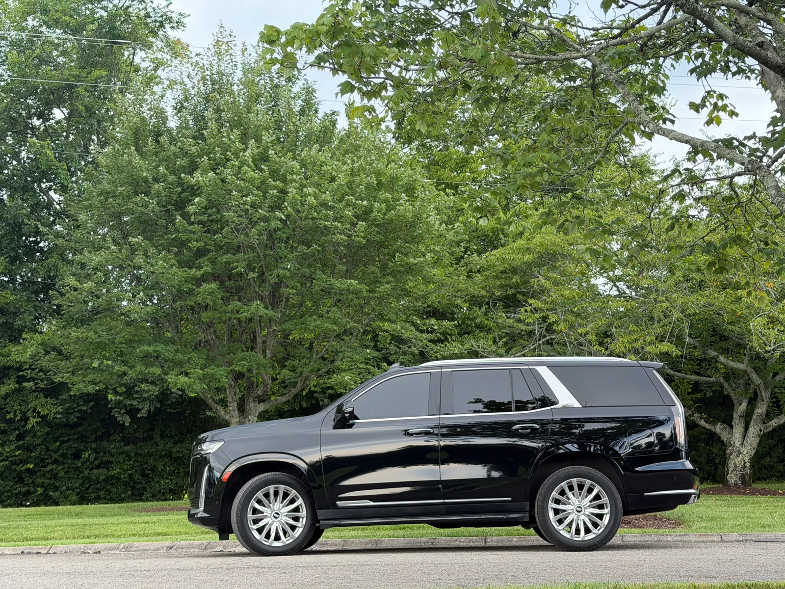 Black SUV parked beside leafy trees in Franklin